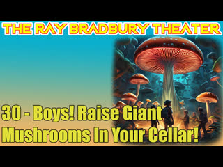 the ray bradbury theater 30 boys raise giant mushrooms in your cellar